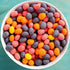 SGFR - Nerds Candy | 3 Flavours