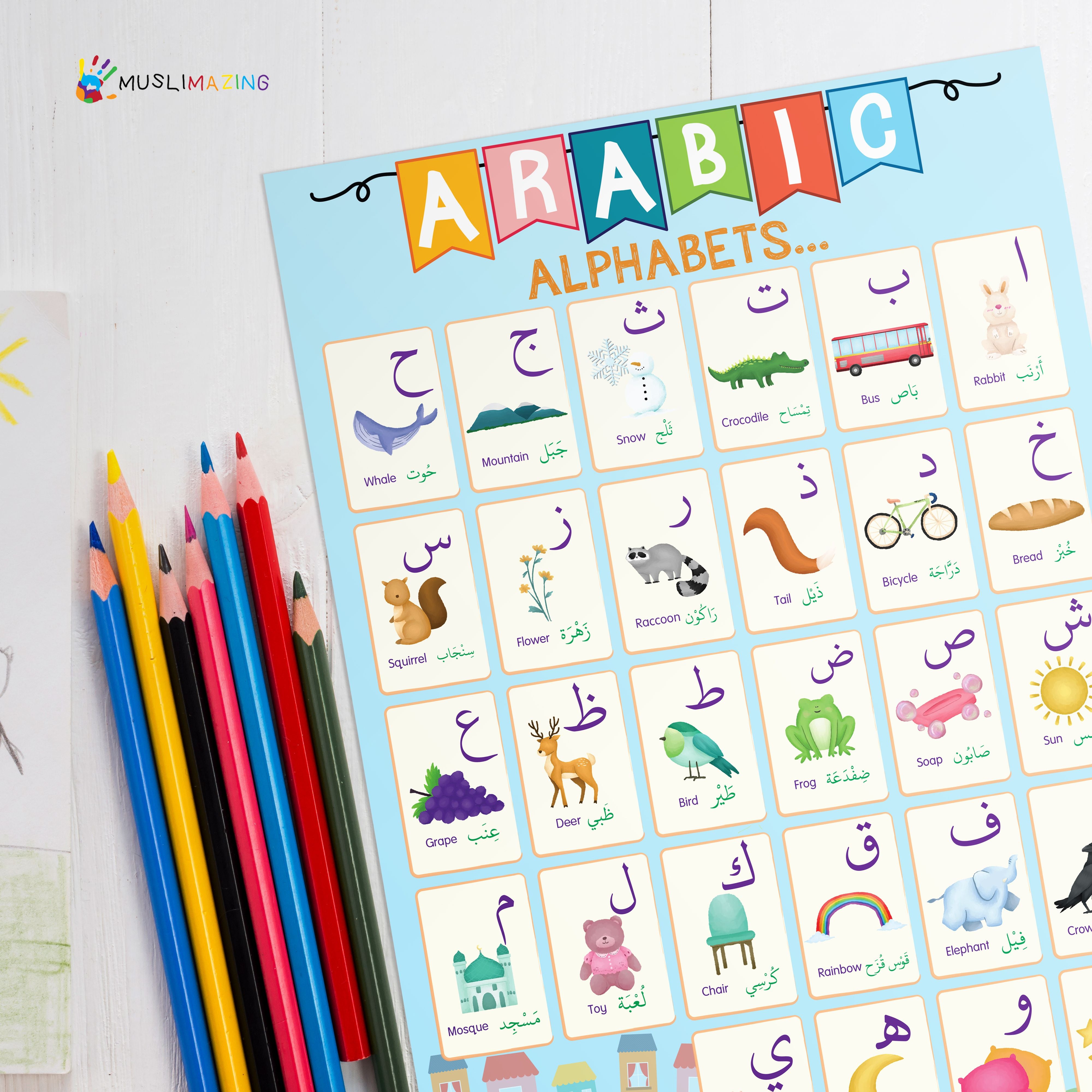 Muslimazing Arabic Educational Poster - Pictures