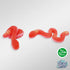 SGFR - The Snake Charmer