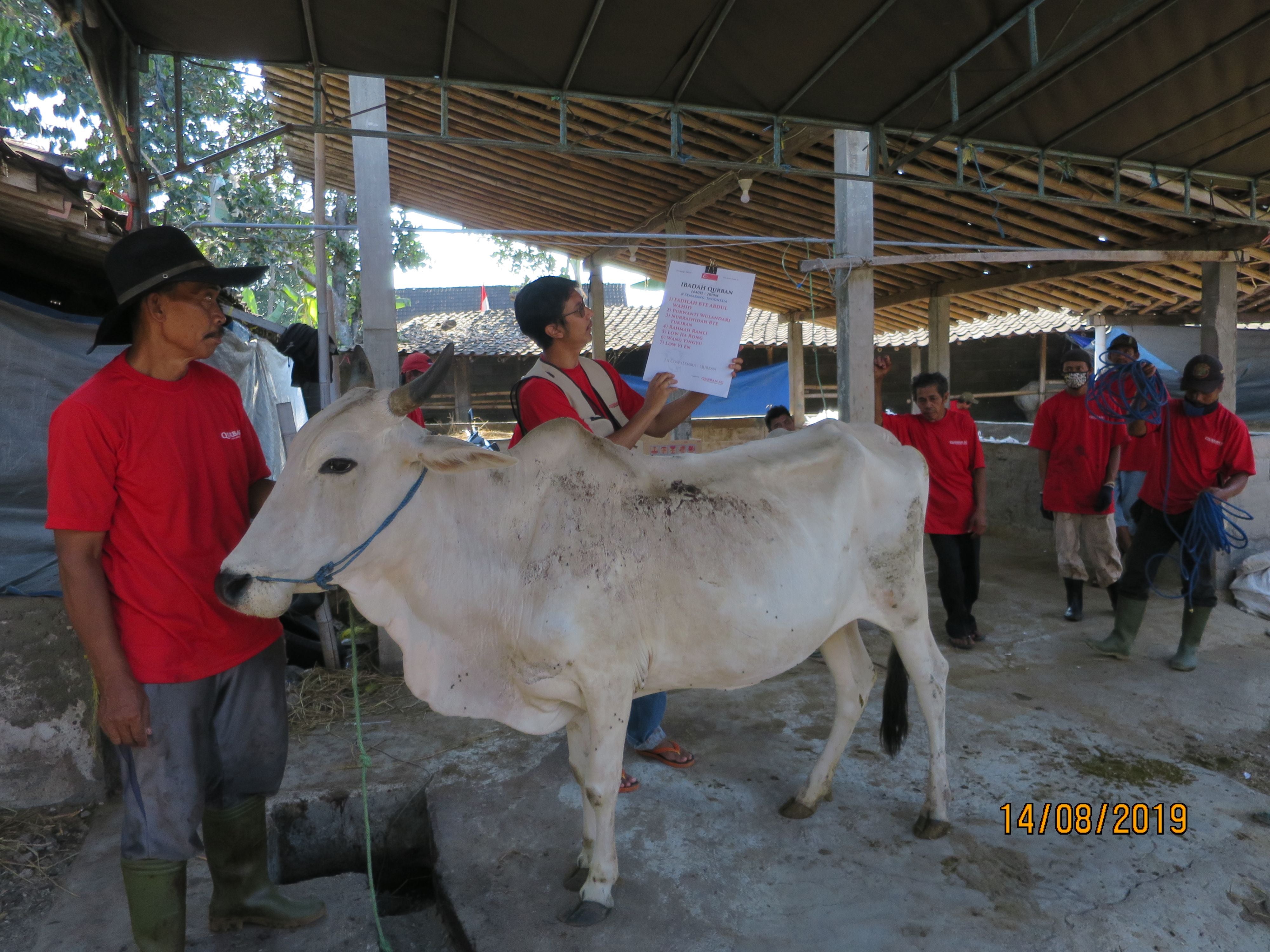 Qurban 1 Sheep/Goat Indonesia