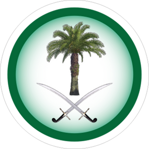 Deen Kreativez Car Decals