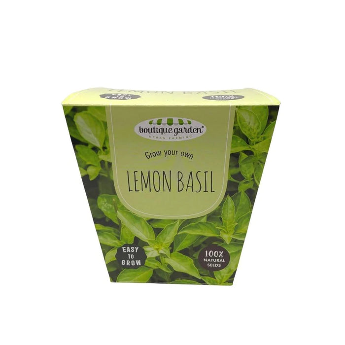 Ceramic Pot - Lemon Basil