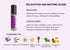 Kidz Paradize | Relaxation & Bedtime Roll-On 10ml